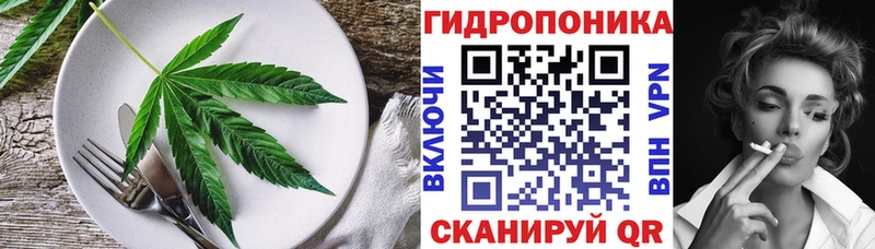 даркнет сайт  Злынка  Еда ТГК конопля 