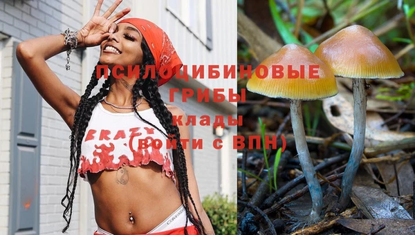 прущая мука Алзамай