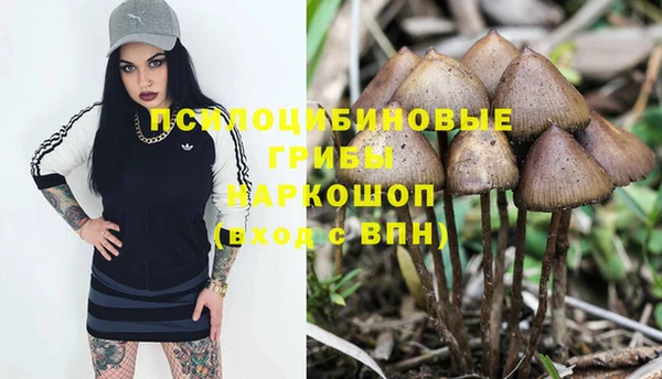 прущая мука Алзамай