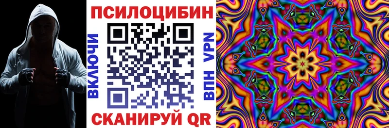 Галлюциногенные грибы ЛСД  наркошоп  mega онион  Злынка 